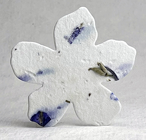 Click for petal paper seed paper flowers