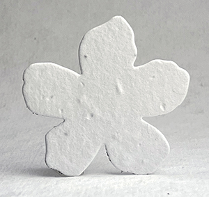 Click for petal paper seed paper flowers