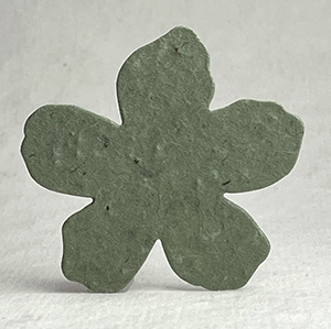 Click for petal paper seed paper flowers