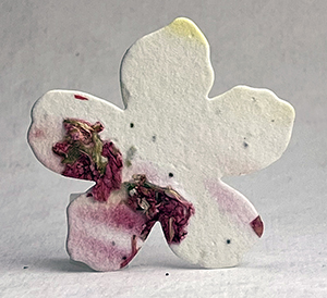 Click for petal paper seed paper flowers