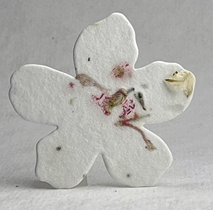 Click for petal paper seed paper flowers