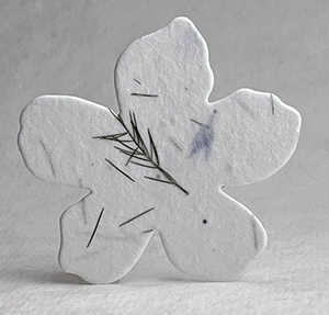 Click for petal paper seed paper flowers