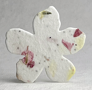 Click for petal paper seed paper hearts