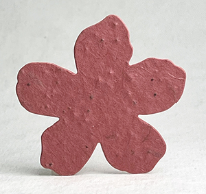 Click for petal paper seed paper flowers