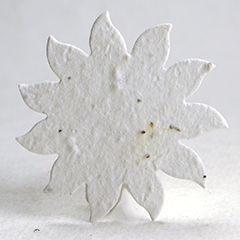 seed paper flower shapes