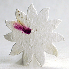 seed paper flower shapes