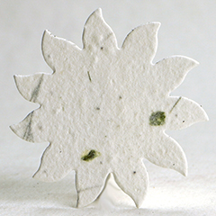 seed paper flower shapes