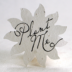 printed seed paper flower  shapes