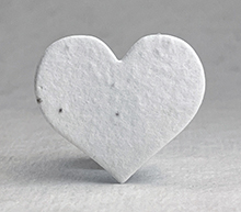 small seed paper hearts