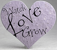 Seed Paper Heart Shape