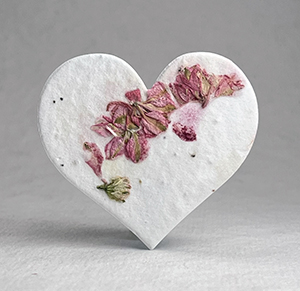 large seed paper hearts