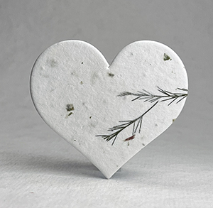 large seed paper hearts