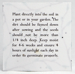 planting guide square seed paper tags