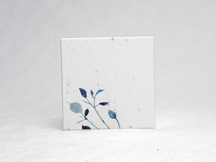 Blue Branch square seed paper tags