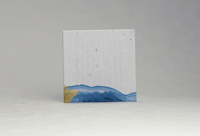 Blue Edge square seed paper tags