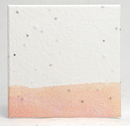 coral edge square seed paper tags