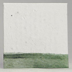 sage green edge square seed paper tags