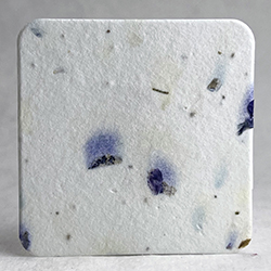 square seed paper tags