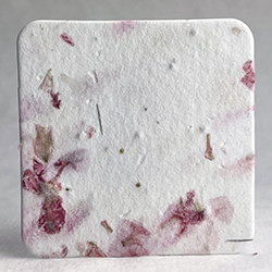 square seed paper tags