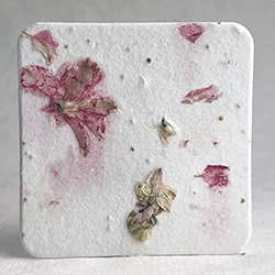 square seed paper tags