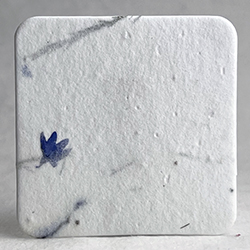 square seed paper tags