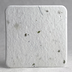 square seed paper tags