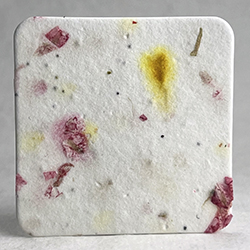 square seed paper tags