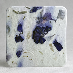 square seed paper tags