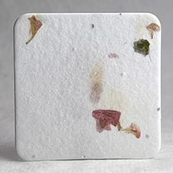 square seed paper tags