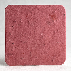 square seed paper tags