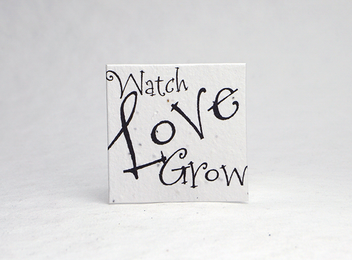 Watch Love Grow square seed paper tags