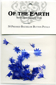 Bachelor Button Petal