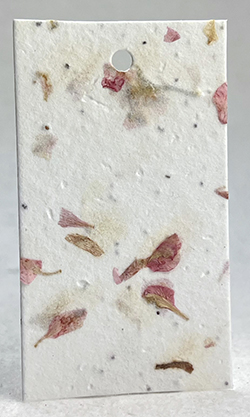 arch shape seed paper tags