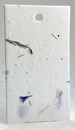 cornflowe and fern seed paper tags