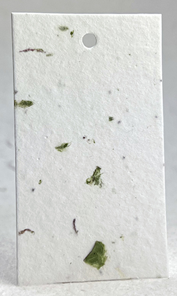 chard and seed paper tags