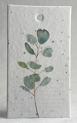 eucalyptus gift tag