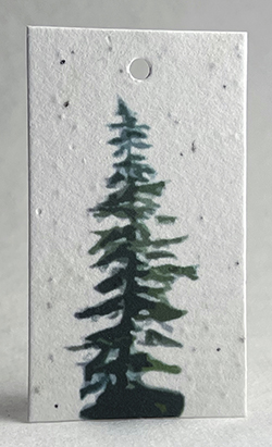Single Green Tree gift tag