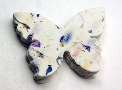 #45s butterfly seed paper