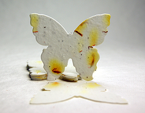 seed paper butterfly