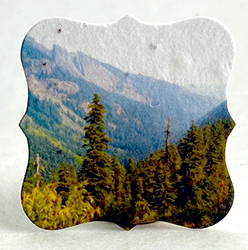 Mountain Pass tag seed paper
