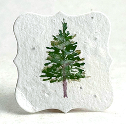 Single winter tree seed paper