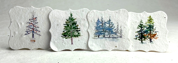 square seed paper tags watercolor trees collection