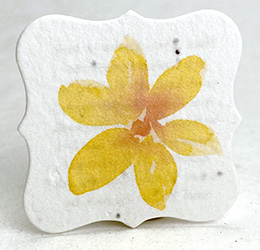 square seed paper tags