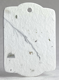 chard and fern tag seed paper wildflower