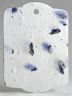 blue petal tag seed paper wildflower