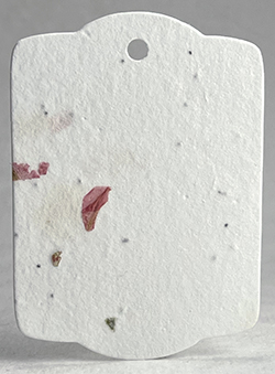 chard and pink petal tag seed paper wildflower