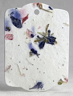 blue and pink petal tag seed paper wildflower