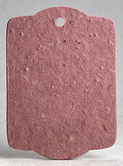 pink lotka fiber tag seed paper wildflower