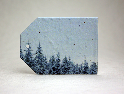 Winter Trees seed paper tags