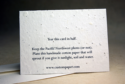 seed paper message